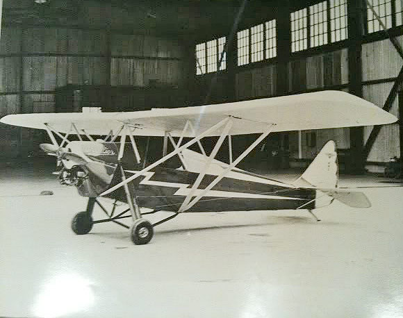 tigermoth1